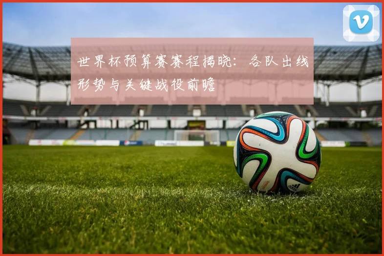 世界杯预算赛赛程揭晓：各队出线形势与关键战役前瞻
